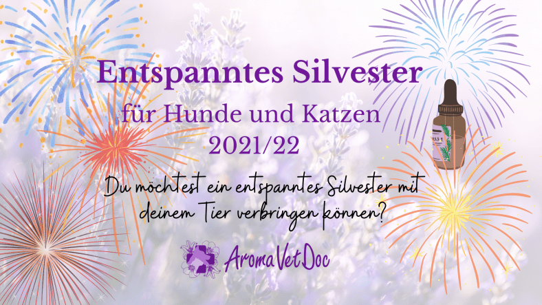 Entspanntes Silvester für Hund und Katze (2021/22)