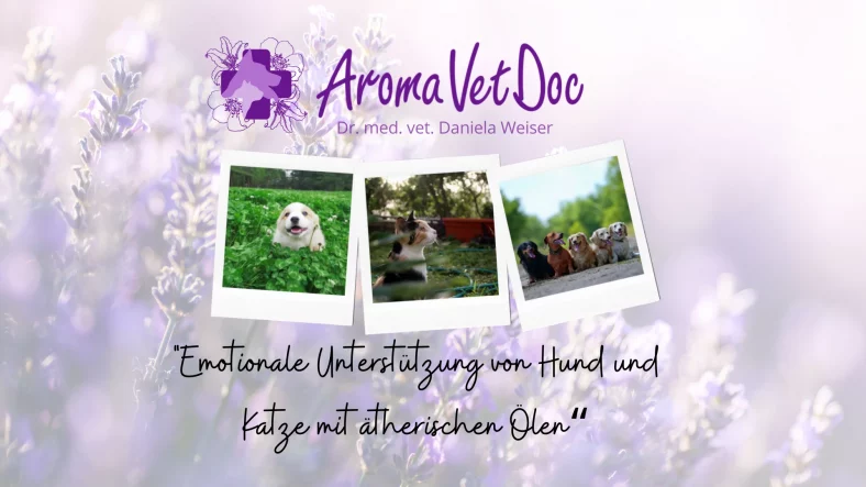 Emotionale Unterstützung von Hund und Katze mit ätherischen Ölen
