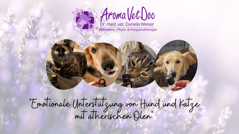 Emotionale Unterstützung von Hund und Katze mit ätherischen Ölen