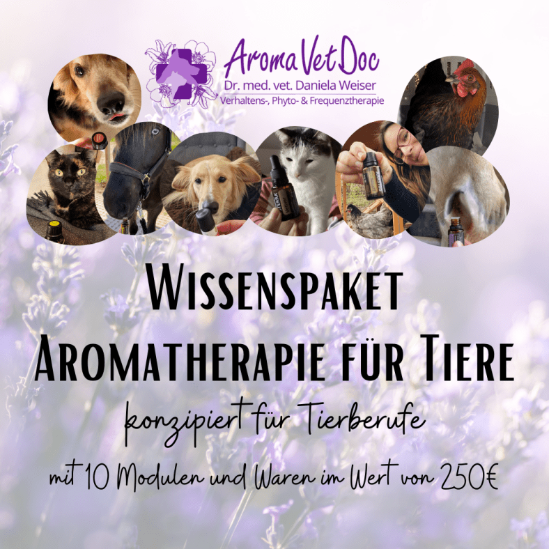 Wissenspaket Aromatherapie im Tierbereich – für tierische Berufsgruppen konzipiert