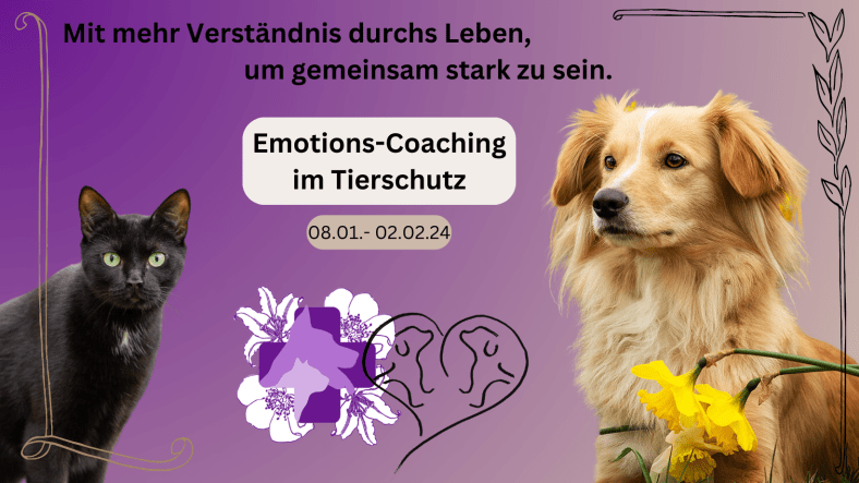 Mit mehr Verständnis durchs Leben, um gemeinsam stark zu sein! – Emotions-Coaching im Tierschutz (08.01.-02.02.2024)