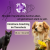 Mit mehr Verständnis durchs Leben, um gemeinsam stark zu sein! – Emotions-Coaching im Tierschutz (06.11.-01.12.2023)